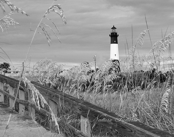 Tybee Island Lighthouse