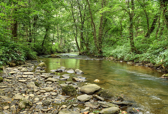 "Duke's Peace" - Shaded Flowing Creek Georgia