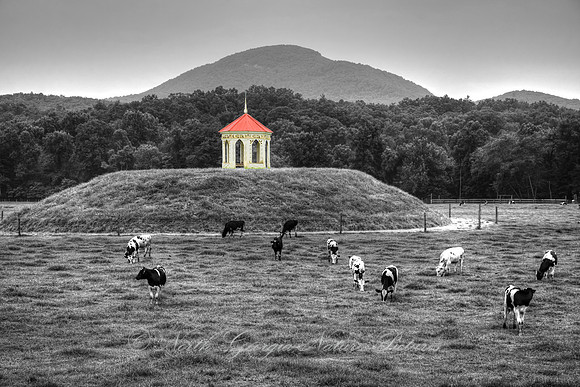 Nacoochee Indian Mound - "High Ground"